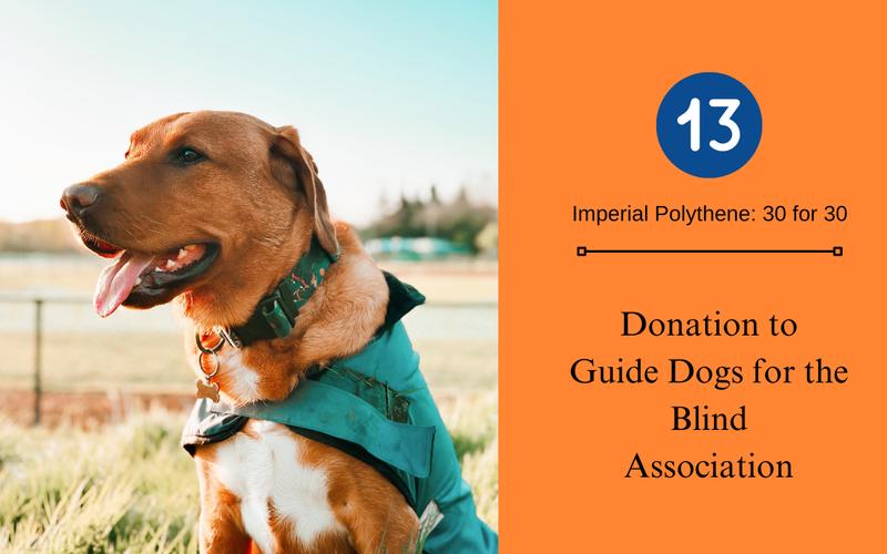 Guide Dog Donation