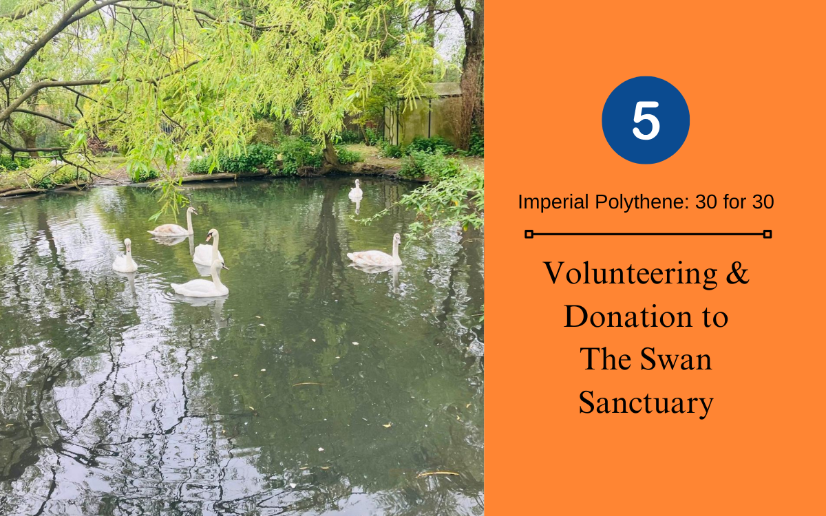 Donation for The Swan Sanctuary